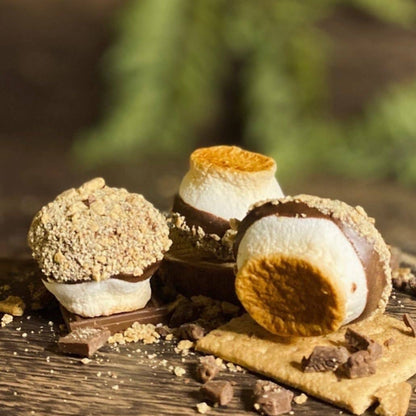 Freeze Dried Fire Roasted S'more