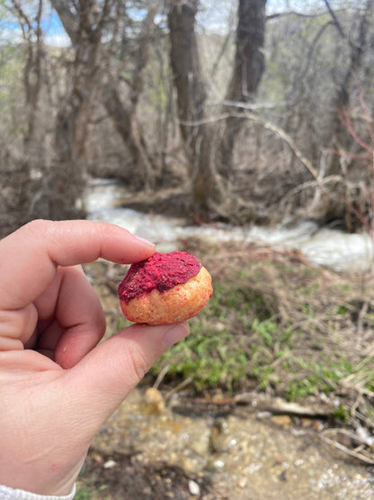 Freeze Dried Raspberry Cream Puffs