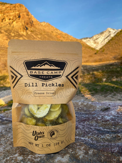 Freeze Dried Dill Pickle Crisps